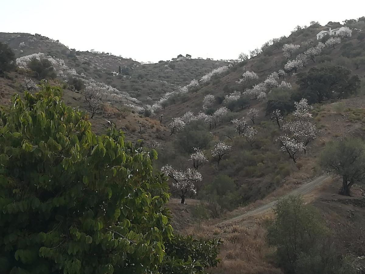 Casa Aguila 2.0 Bed and Breakfast Los Valverde Εξωτερικό φωτογραφία