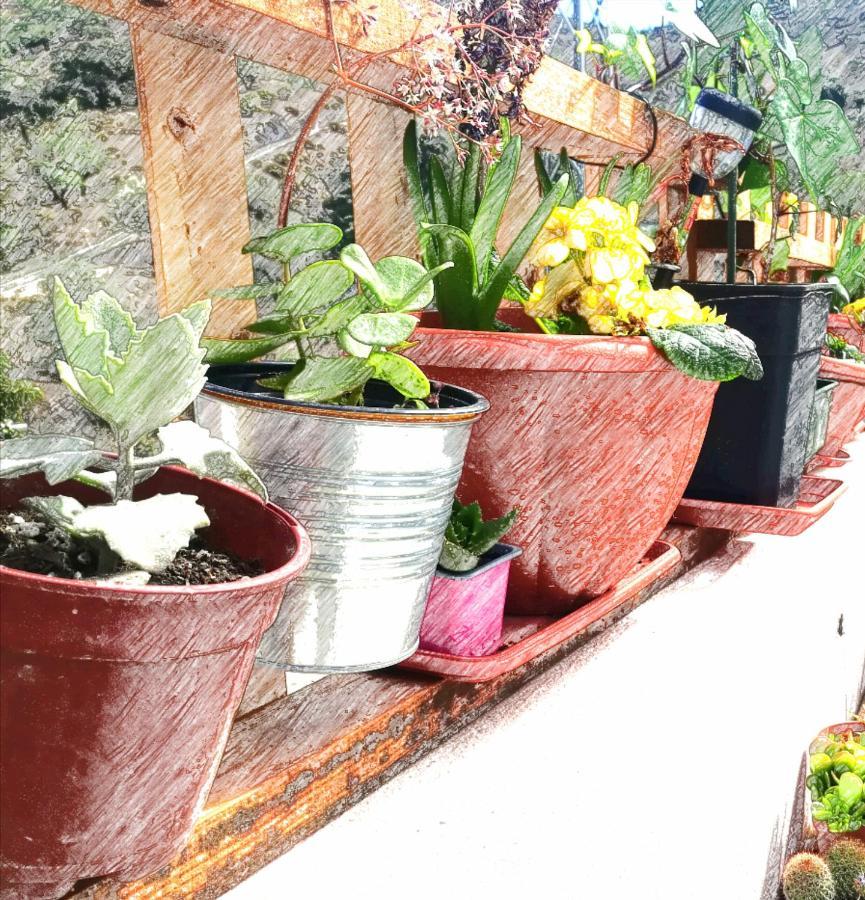 Casa Aguila 2.0 Bed and Breakfast Los Valverde Εξωτερικό φωτογραφία